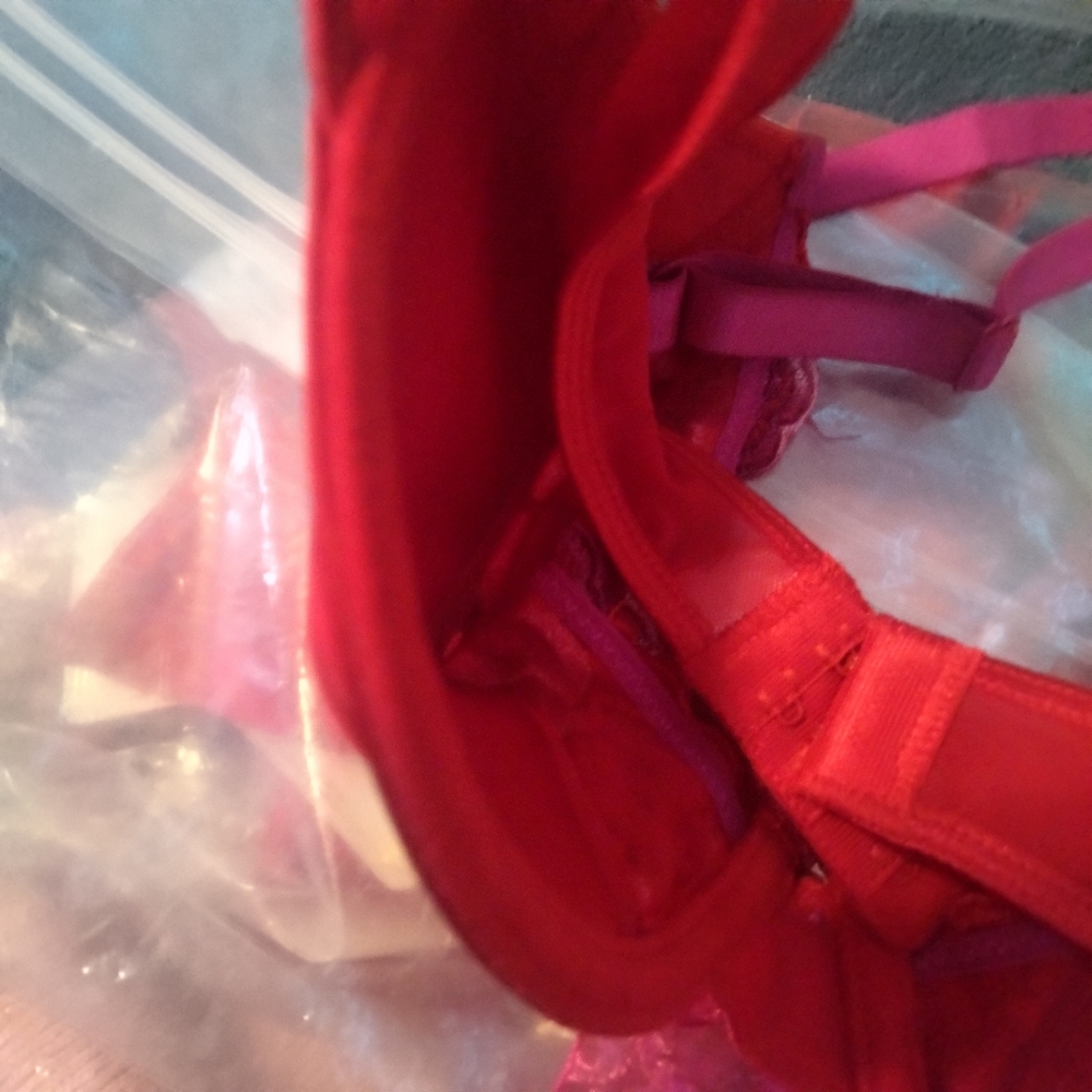 Rene Rofe Red Lace Bra - Picture 8 of 8